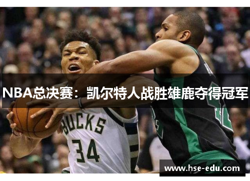 NBA总决赛：凯尔特人战胜雄鹿夺得冠军