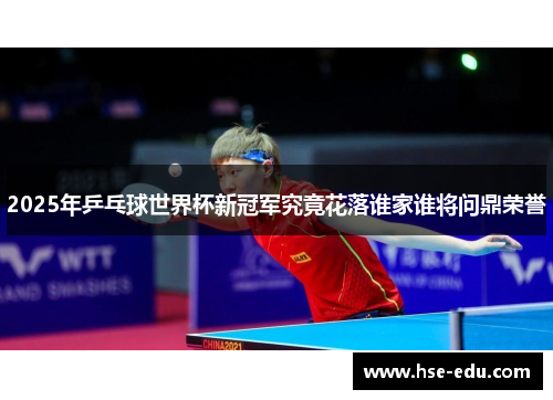 2025年乒乓球世界杯新冠军究竟花落谁家谁将问鼎荣誉